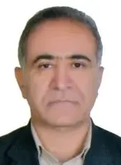 دکتر روح الدین شرفی